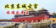 后入嫩穴小逼视频中国北京-东城古宫旅游风景区